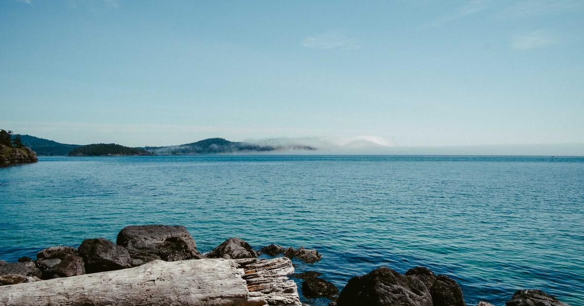 How to Find the Right Dispensary Near Me: A Practical Buyer’s Guide